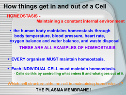 How things get in and out of a Cell HOMEOSTASIS
