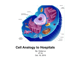 Cell Analogy to Hospitals - APBiology2015-2016
