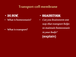 Transport and Cell Membrane Chapter 5 Honors Class Power Point