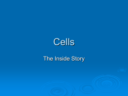 Cells 1.3