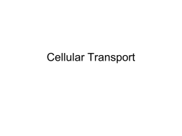 Cellular Transport - Northwest ISD Moodle