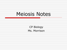 Meiosis Notes - Brookwood High School