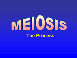 Review MEIOSIS – the process of cell division in which - Room N-60