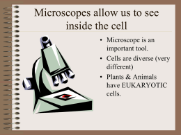 Microscopes allow us to see inside the cell