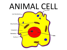 CELL_PARTS