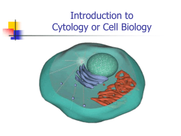 Cell_Structures
