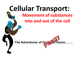 Cellular Transport Powerpoint