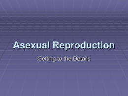 Asexual Reprodction
