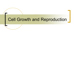 Cell Growth and Reproduction