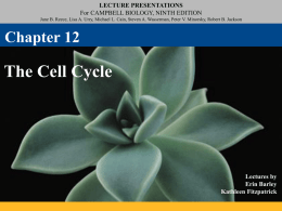 Cell Cycle & Mitosis