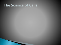 cell wall