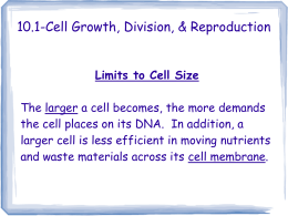 Cell Division & Reproduction