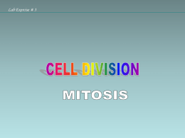 Types of cell divisions