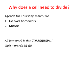 Why does a cell need to divide?