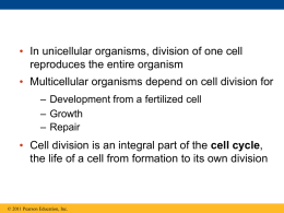 cell cycle - Effingham County Schools