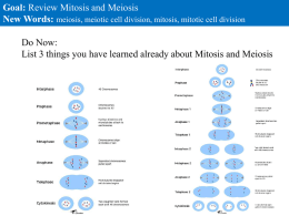 Mitosis Meiosis - mrsoto