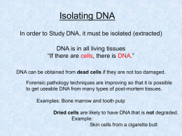 DNA (isolate