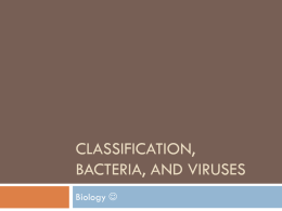 Classification, Bacteria, and Viruses notes
