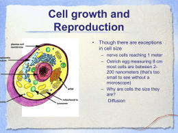 Cell growth and Reproduction
