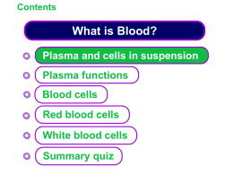 KS4 What is Blood