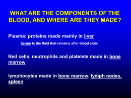 Hematopoiesis, immunity, hypoproliferative anemias