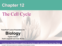 cell cycle - Alvin ISD
