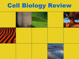 Cell Biology Review