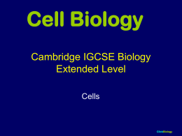 Edexcel AS Level Biology