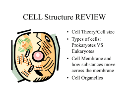 CELL Structure REVIEW
