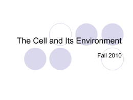 Cell Transport Ppt