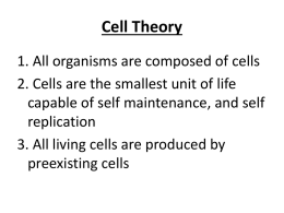 Cells, Tissues, & Organs