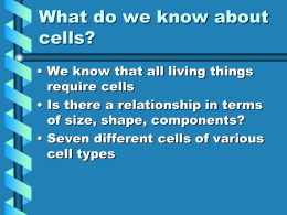 All Cells are Alive