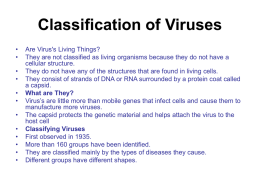 Classification of Viruses