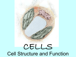 Cell membrane - Leavell Science Home