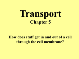 notes cellular transport power point presentation