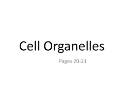 Cell Organelles & Specialization