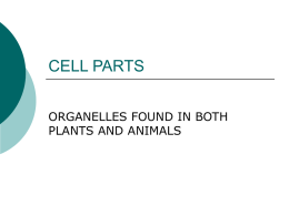 CELL PARTS