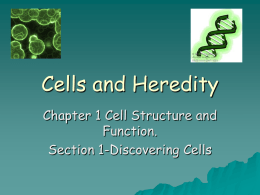 Chapter 1 Cells and Heredity