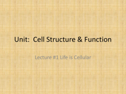 Unit: Cell Structure & Function