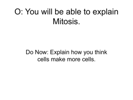 O: You will be able to explain Mitosis.