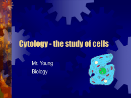 Cytology