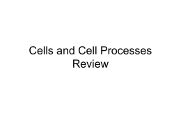 Cell Organelles, Respiration and Transport Review