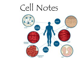 02 Cell Notes