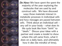 Size, DNA, nuclear envelope** The Cell Cycle Clock