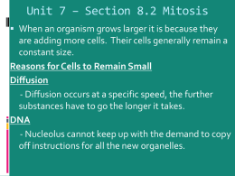 Unit 7 – Section 8.2 Mitosis
