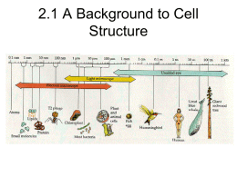 cell structure and function 2010