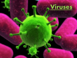 viruses - Holterman