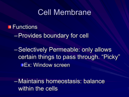 movement across the cell membrane