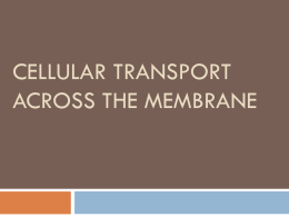 Cellular Transport Across the Membrane