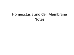 1.1-BIO-HOM-HomeostasisIntro.CellMembrane